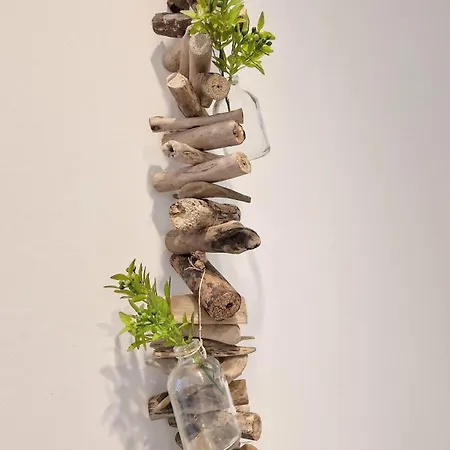 アパート Haus-pellworm-whg-12-strandpunkt